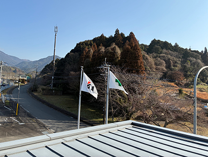 寒い　春　花粉